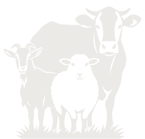 Farm Animal Background