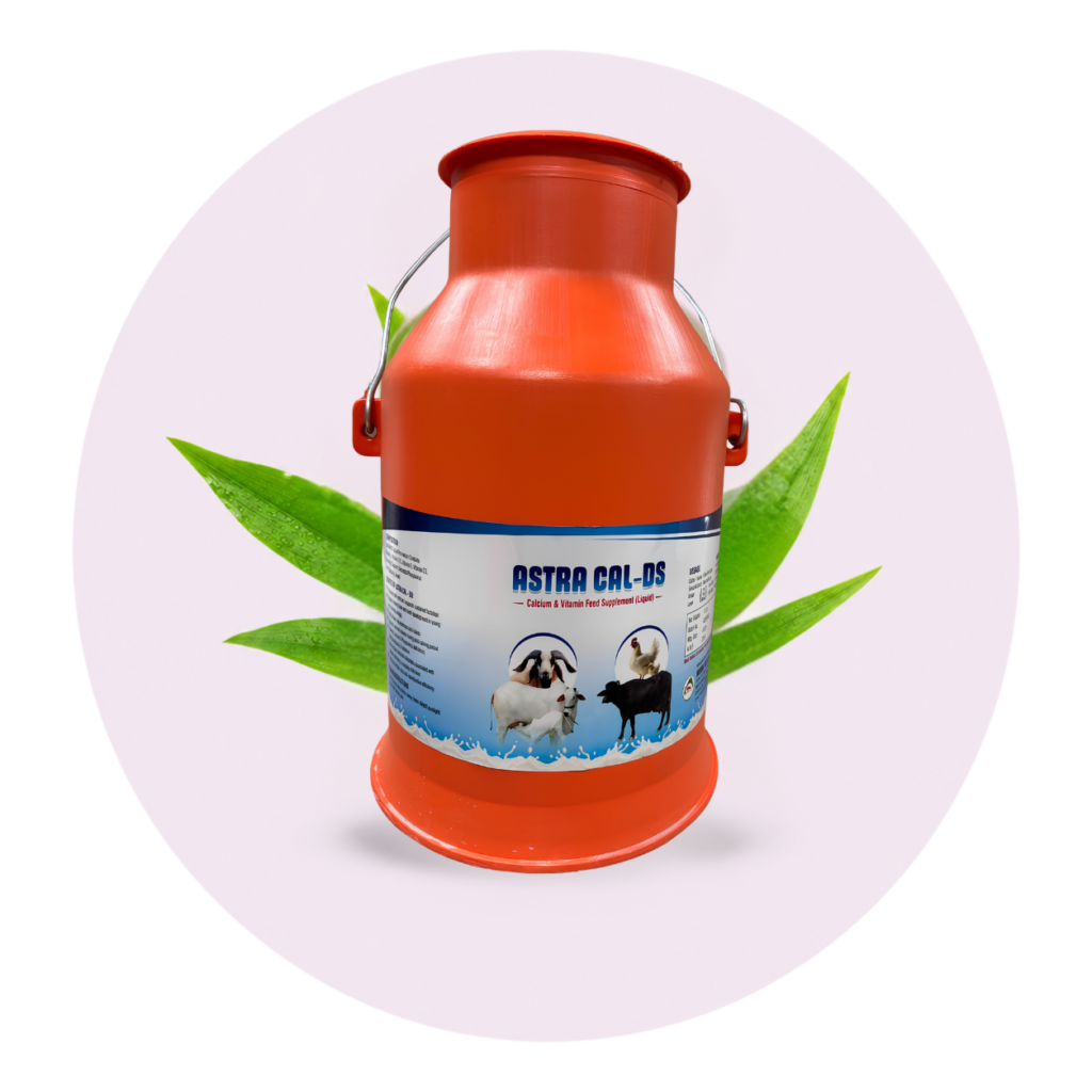 ASTRA CAL-DS Calcium Supplement