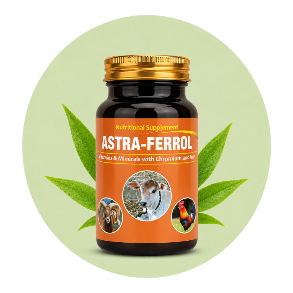ASTRA-FERROL Iron Supplement